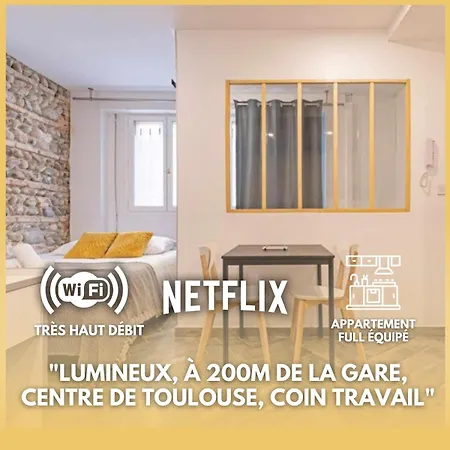 Grand Studio Avec Espace De Travail Toulouse Exterior photo